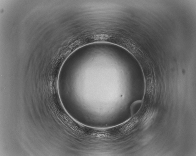 X0000057090655200509161630