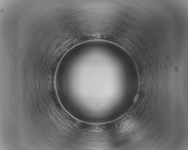 X0000057090656200509161630