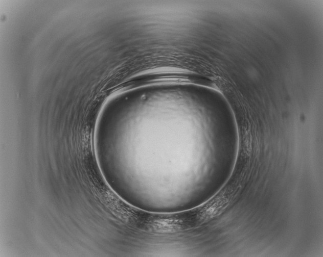 X0000057090657200509161630