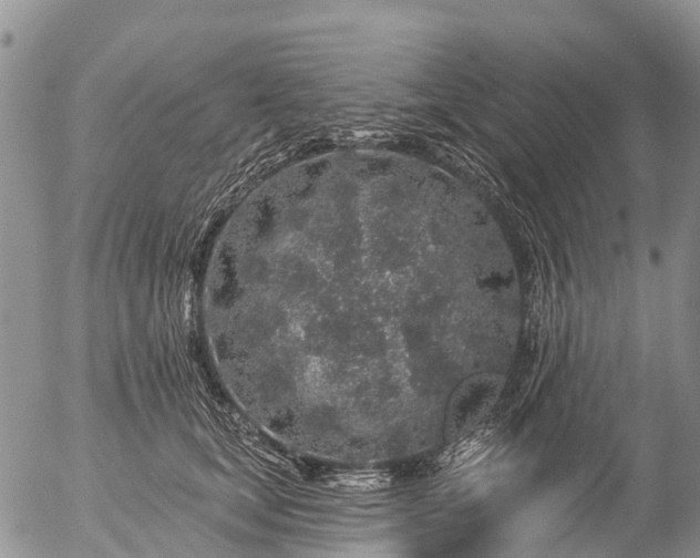 X0000057090659200509161631