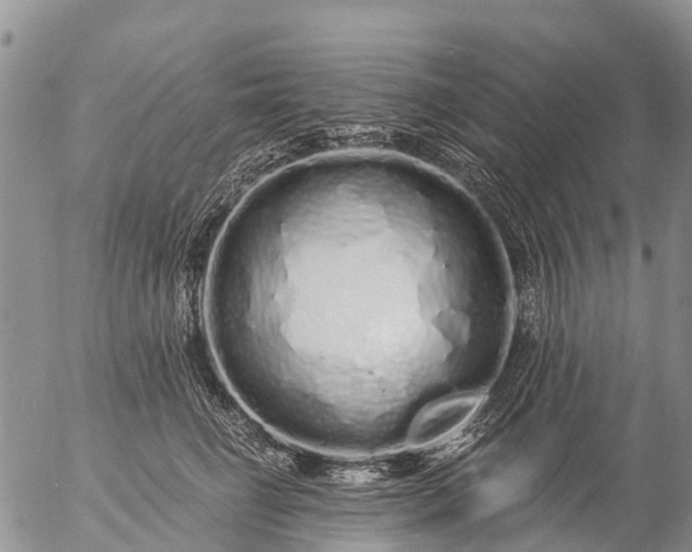 X0000057090662200509161631