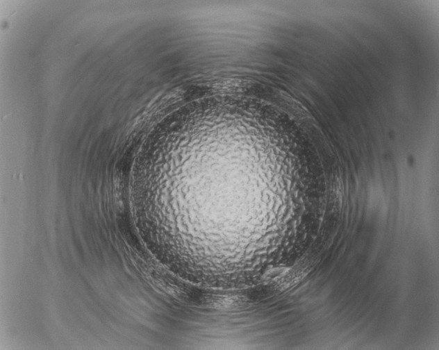 X0000057090663200509161631