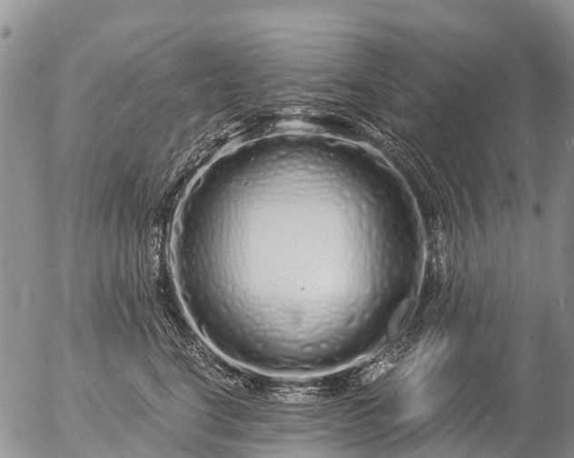 X0000057090664200509161631