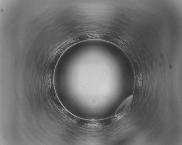 X0000057090666200509161631