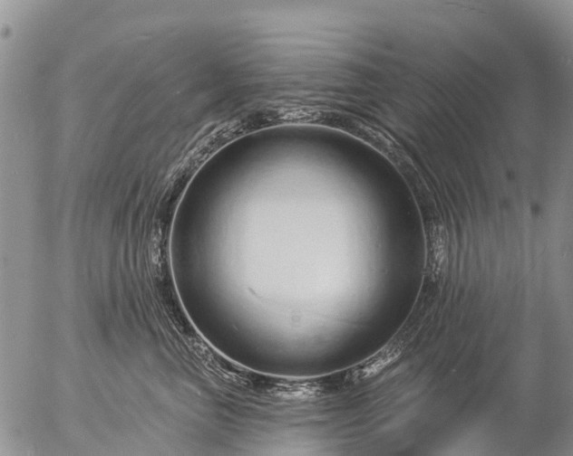 X0000057090667200509161631