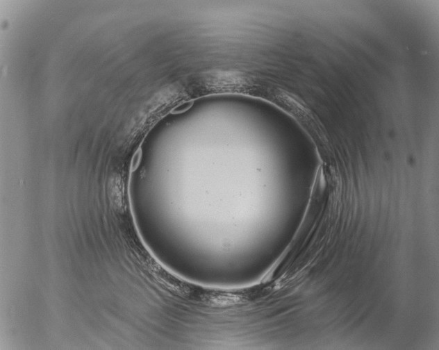 X0000057090669200509161631