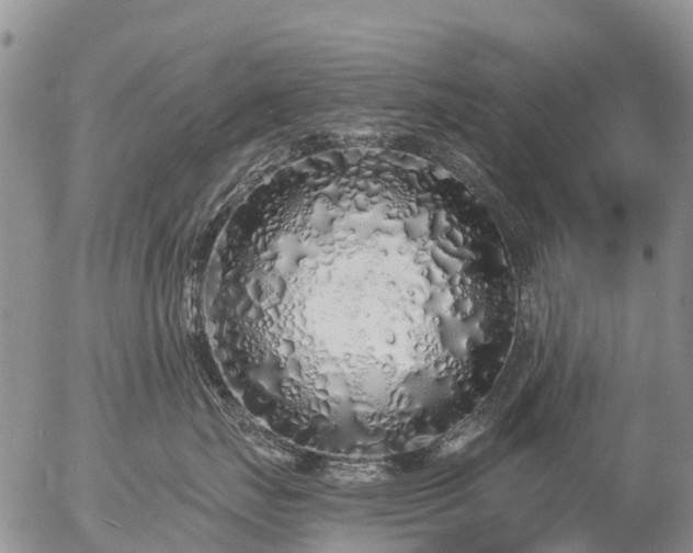 X0000057090671200509161631