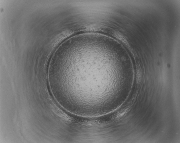 X0000057090673200509161630