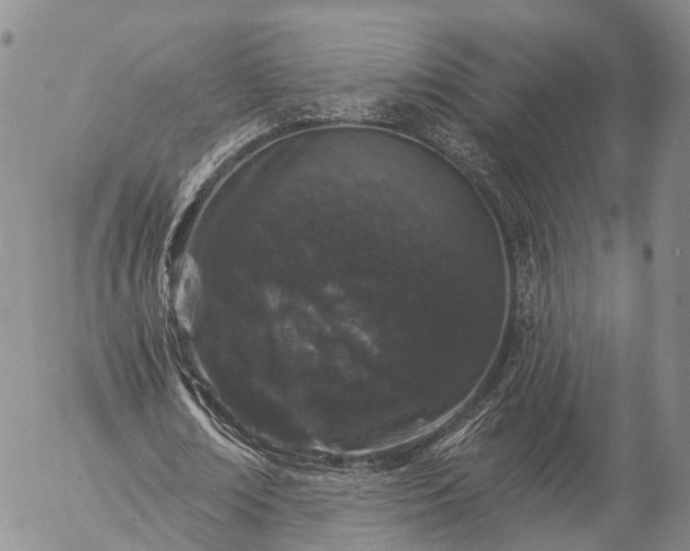 X0000057090674200509161630