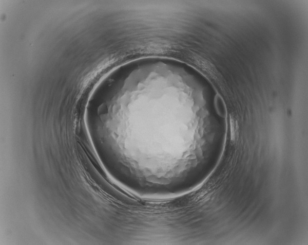 X0000057090675200509161630