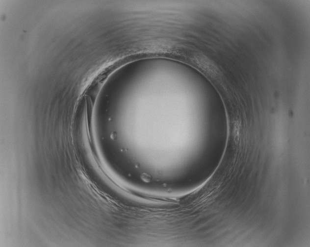 X0000057090676200509161630