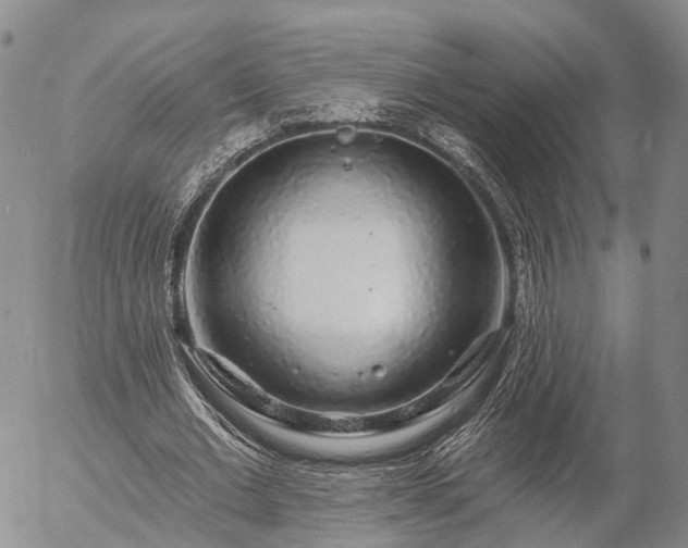 X0000057090677200509161630