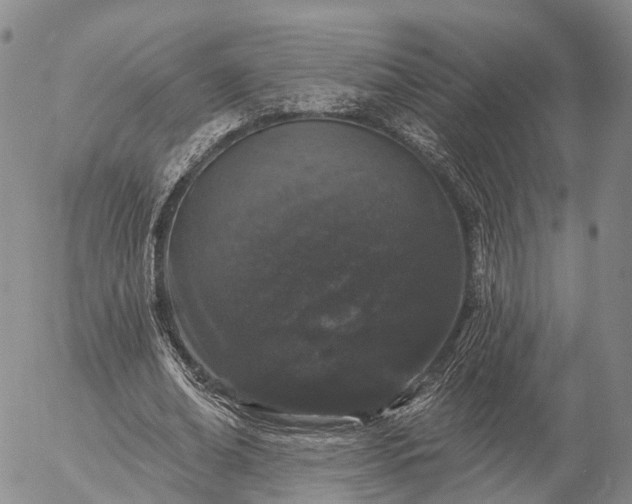 X0000057090678200509161630