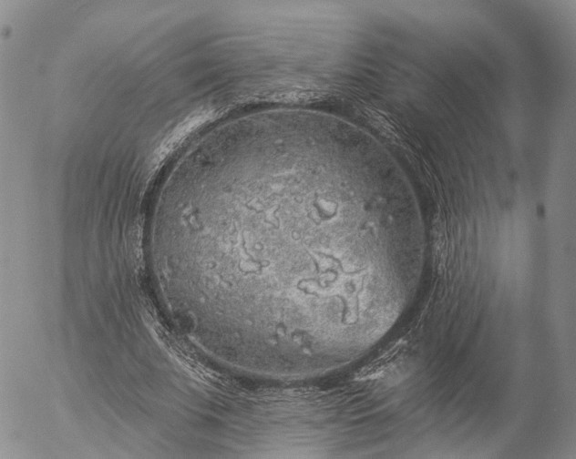 X0000057090679200509161630