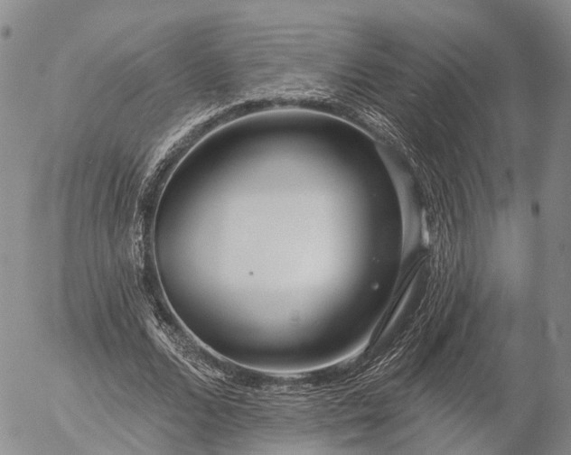 X0000057090680200509161630