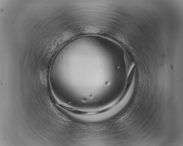 X0000057090681200509161630