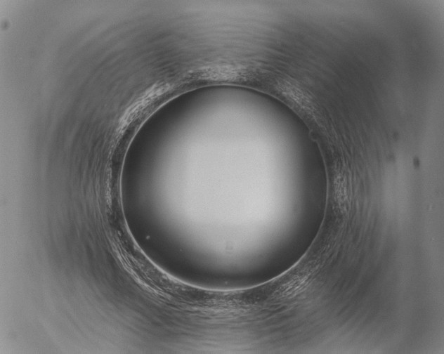 X0000057090682200509161630