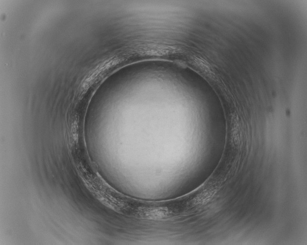 X0000057090683200509161630