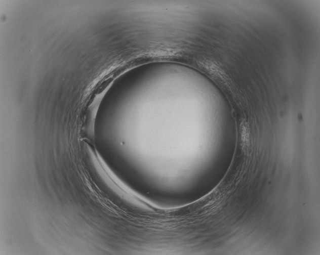 X0000057090684200509161630