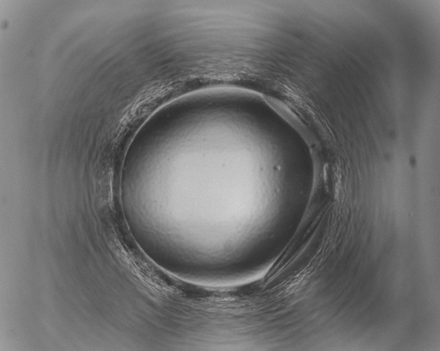 X0000057090685200509161630