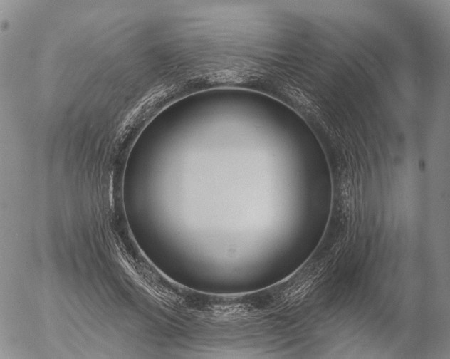 X0000057090686200509161630