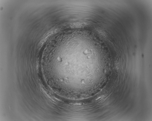 X0000057090687200509161630