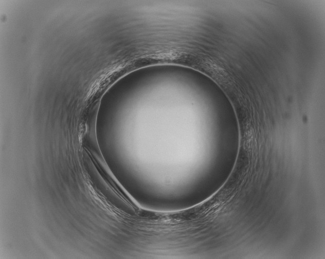 X0000057090688200509161630