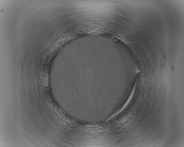 X0000057090689200509161630