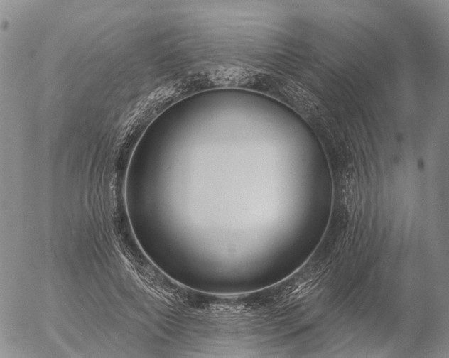 X0000057090690200509161630