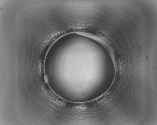 X0000057090692200509161630