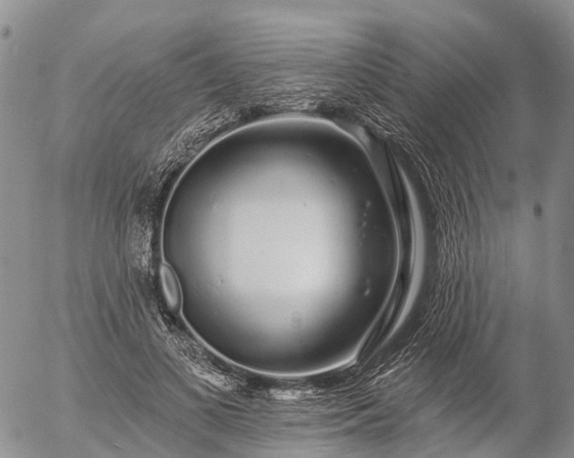 X0000057090693200509161630