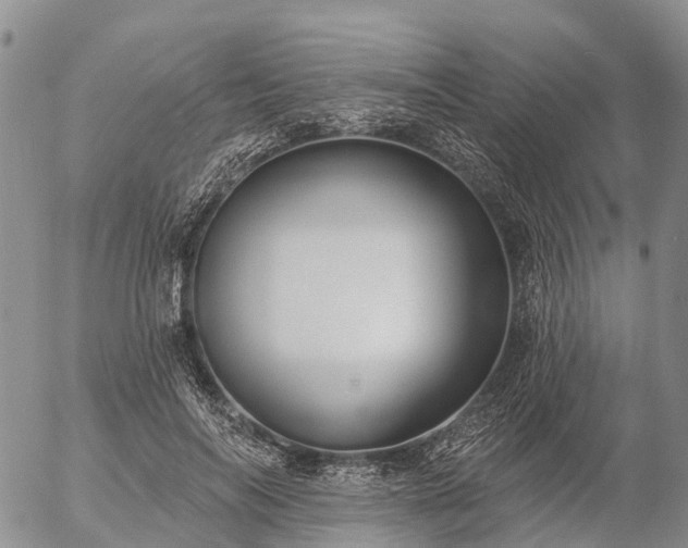 X0000057090694200509161630