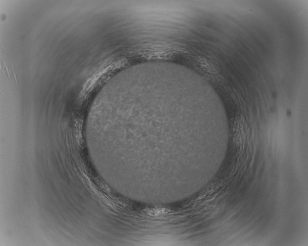 X0000057090695200509161630