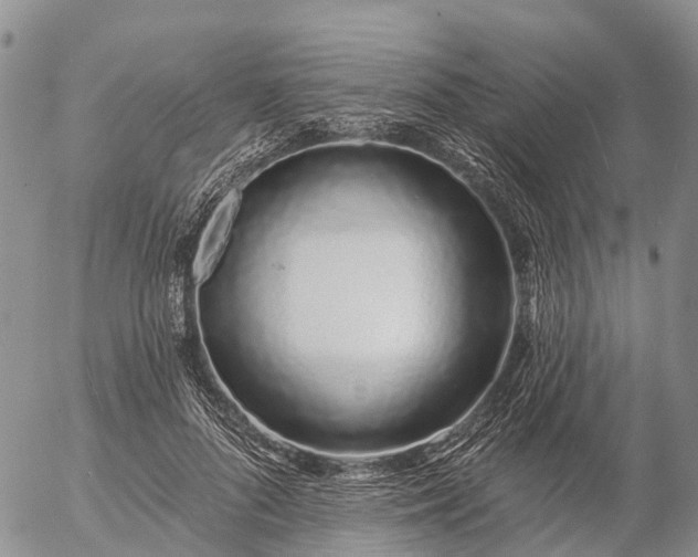 X0000057090696200509161630