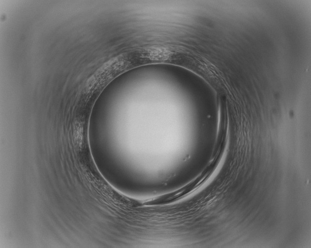 X0000057090697200509161630