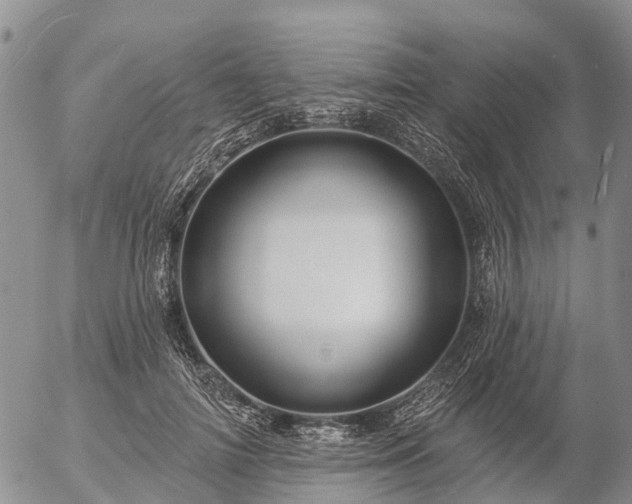 X0000057090698200509161630