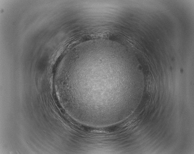 X0000057090699200509161630