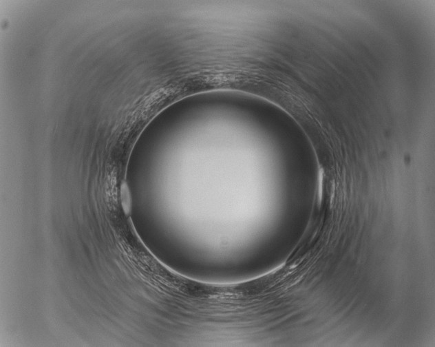 X0000057090700200509161629