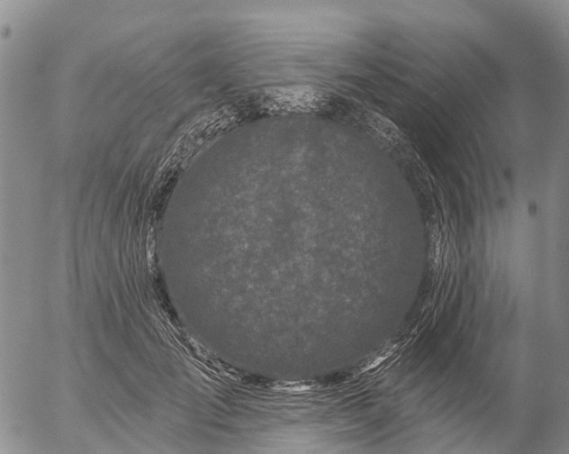 X0000057090701200509161629