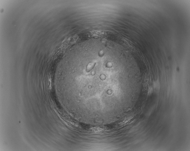 X0000057090703200509161629