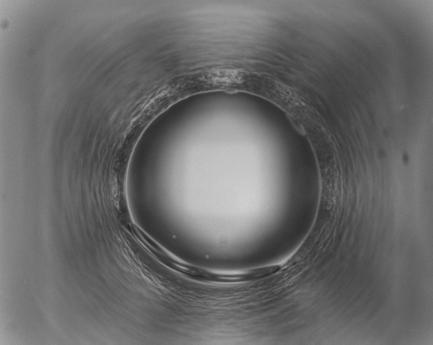 X0000057090704200509161629