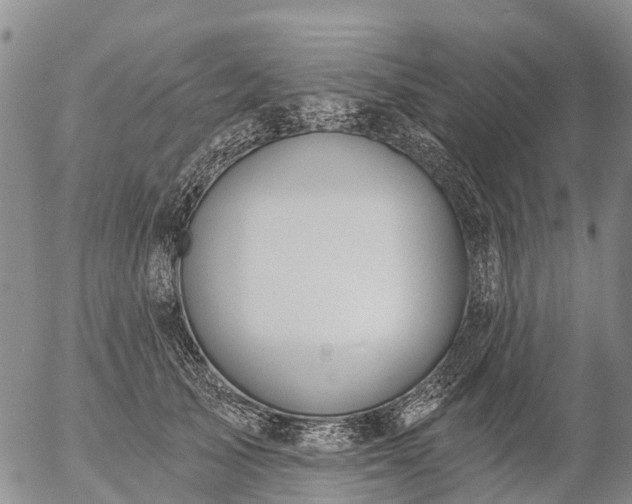 X0000057090705200509161629