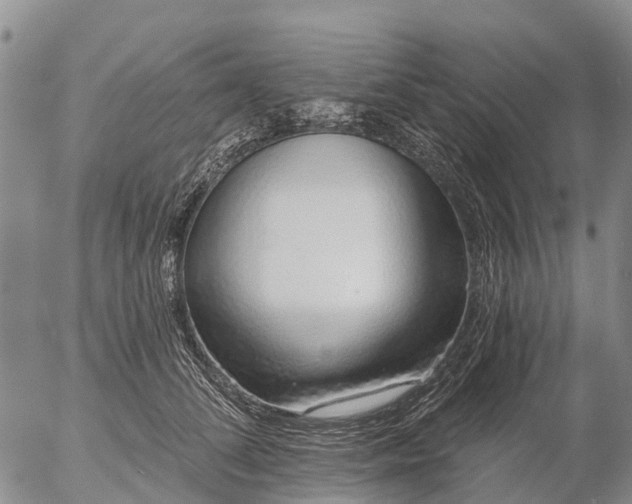 X0000057090708200509161629