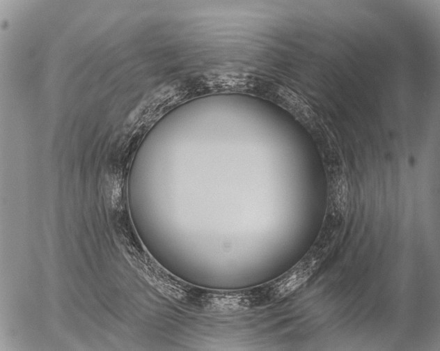 X0000057090709200509161629