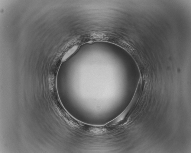 X0000057090712200509161629