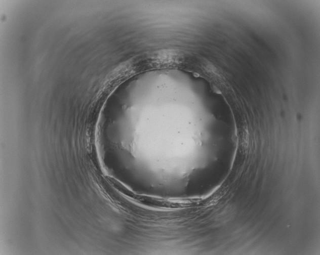 X0000057090715200509161629