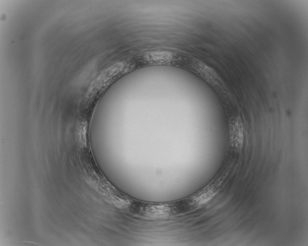 X0000057090717200509161629