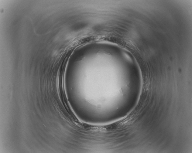 X0000057090719200509161629