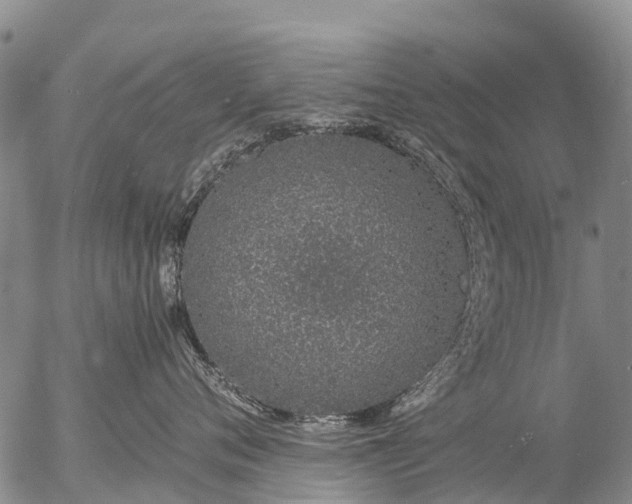 X0000057090720200509161629