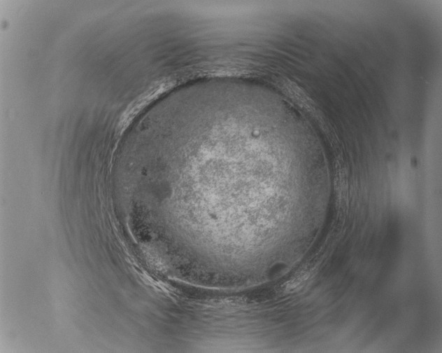 X0000057090721200509161628